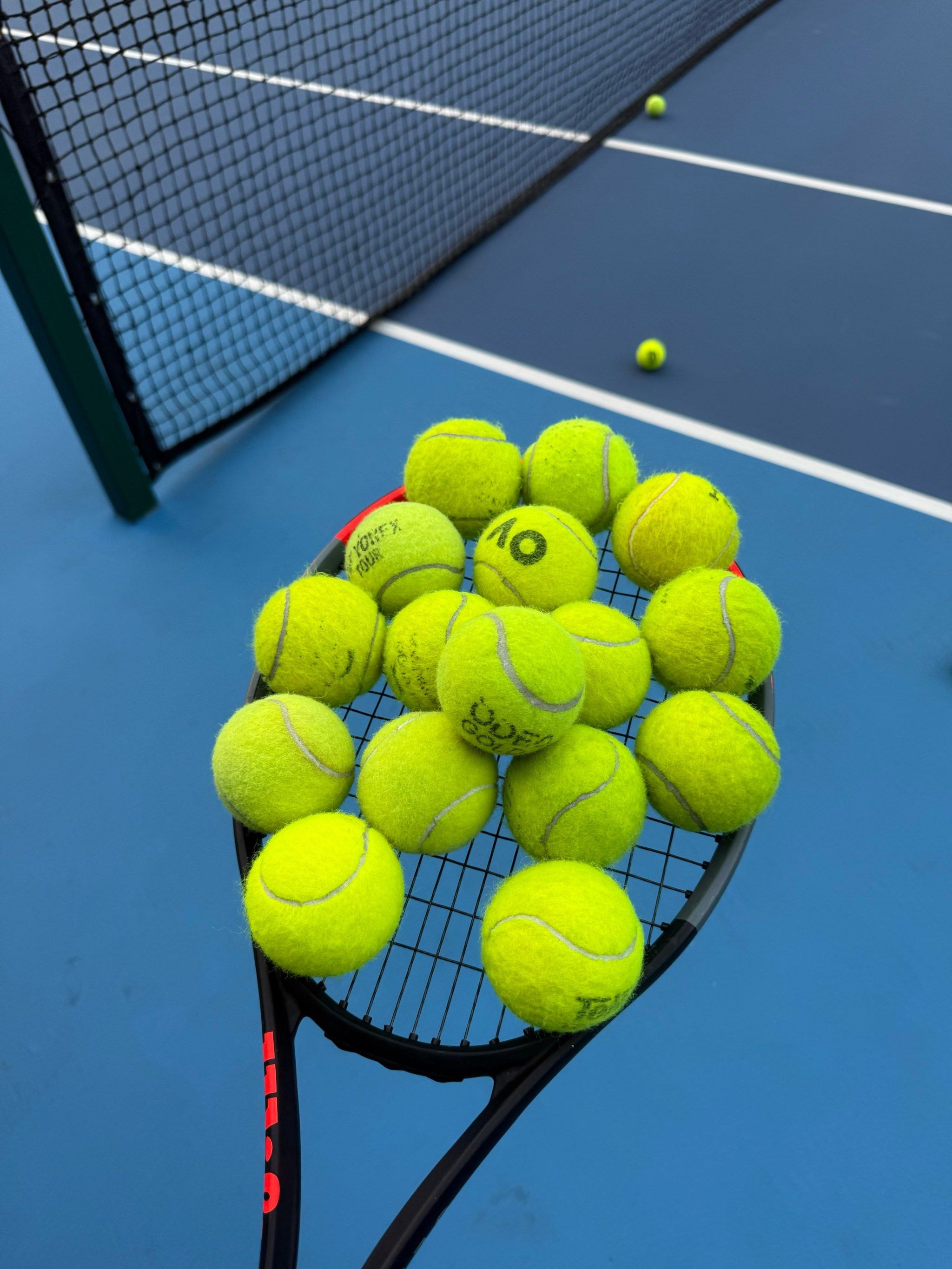 则因多年来 则因多年来